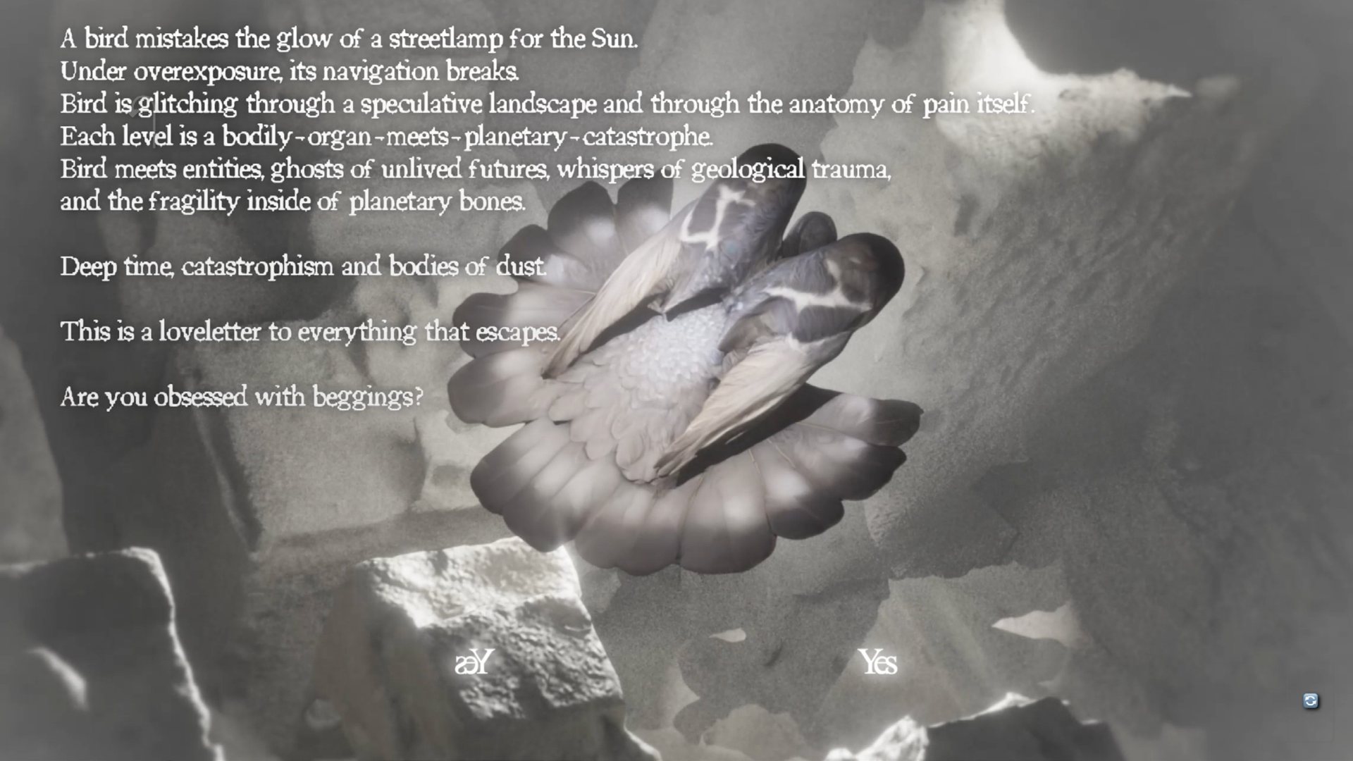 Game screenshot with a bird and branching text choices.