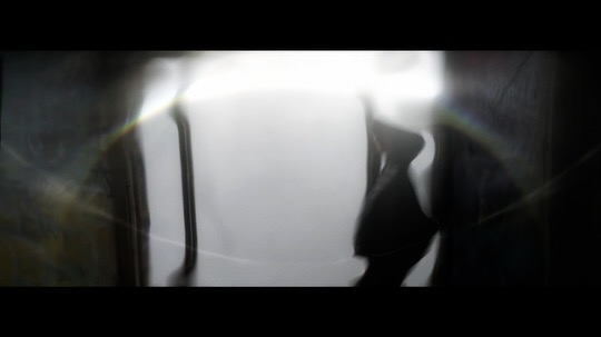 Instagram still from postorganic bauplan.
