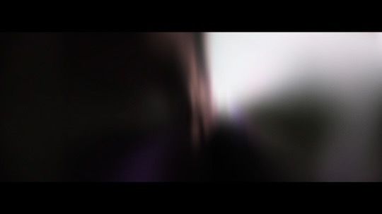Instagram still from postorganic bauplan.